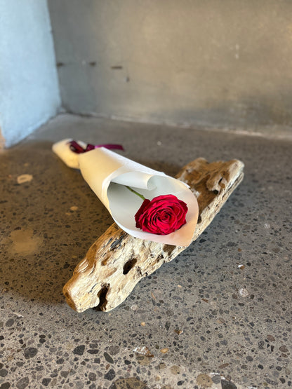 Single Red Rose