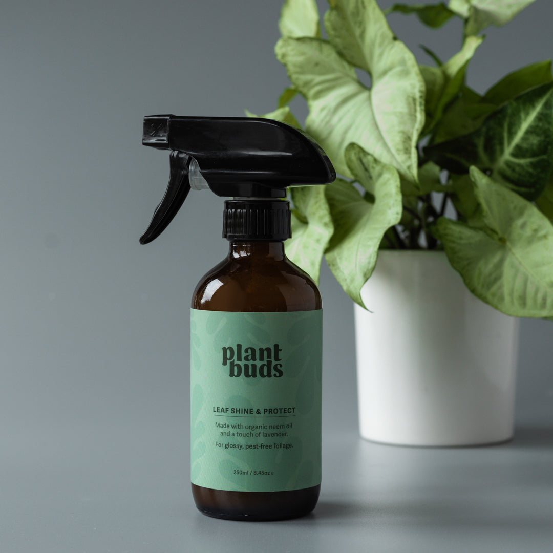 Plant Buds ‘Leaf Shine & Protect’